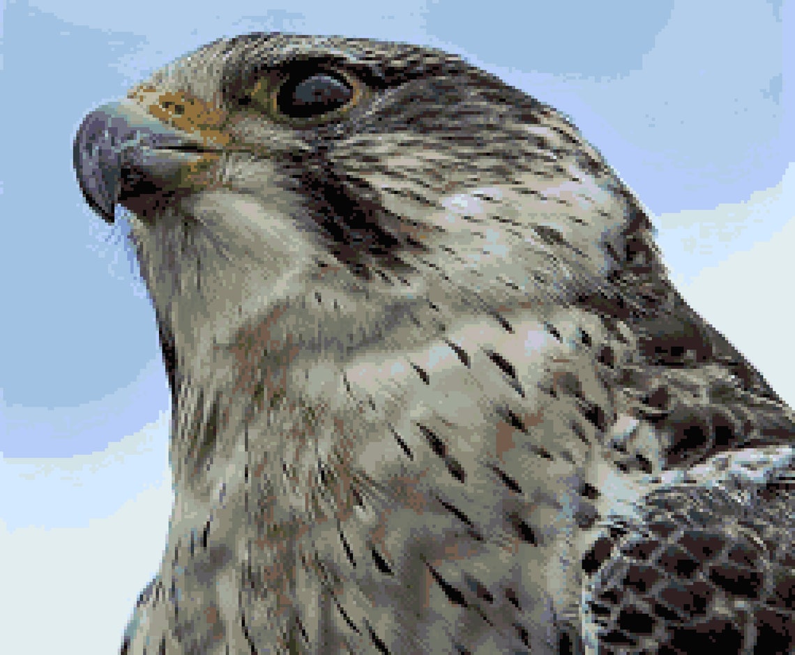 Peregrine Falcon Cross Stitch Pattern: Bird of Prey Closeup Pixel Art ...