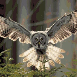 Great Grey Owl Cross Stitch Pattern:  Birds of Prey in Flight Pixel Art Image Strix Nebulosa Dark Forest Cross-stitch PDF Download Pattern