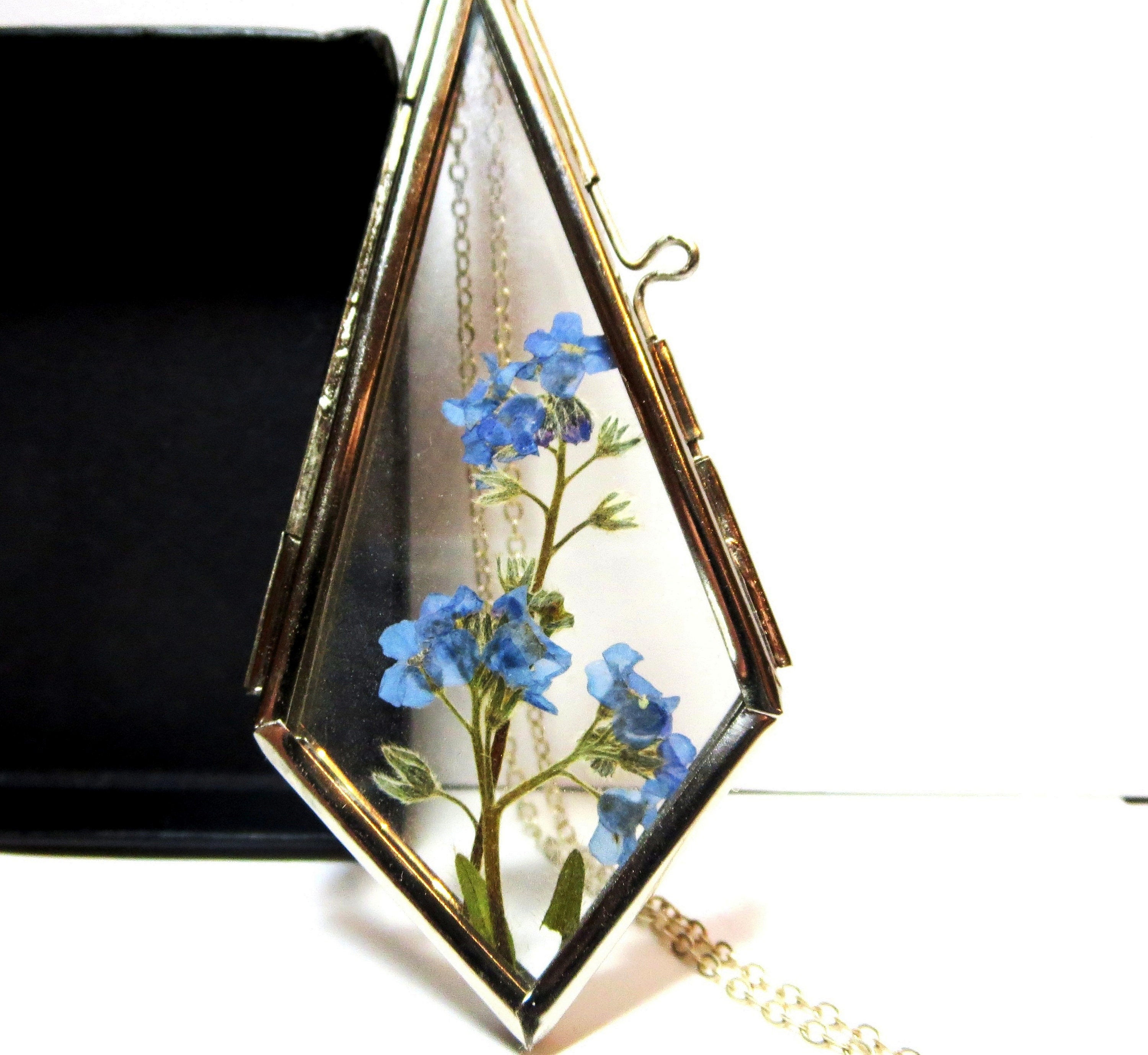 Forget Me Not Pressed Flowers Art Marigold Dried Flowers Art 