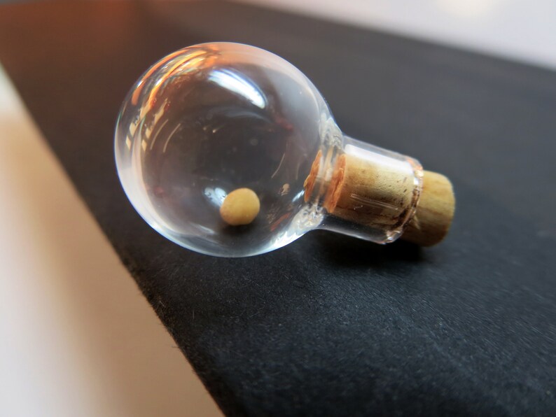 Real Mustard Seed Bottle Necklace Faith of a Mustard Seed Etsy