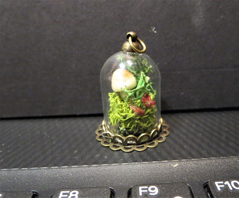 Mushroom Pendant Necklace Real Mushroom Necklace Dried Etsy