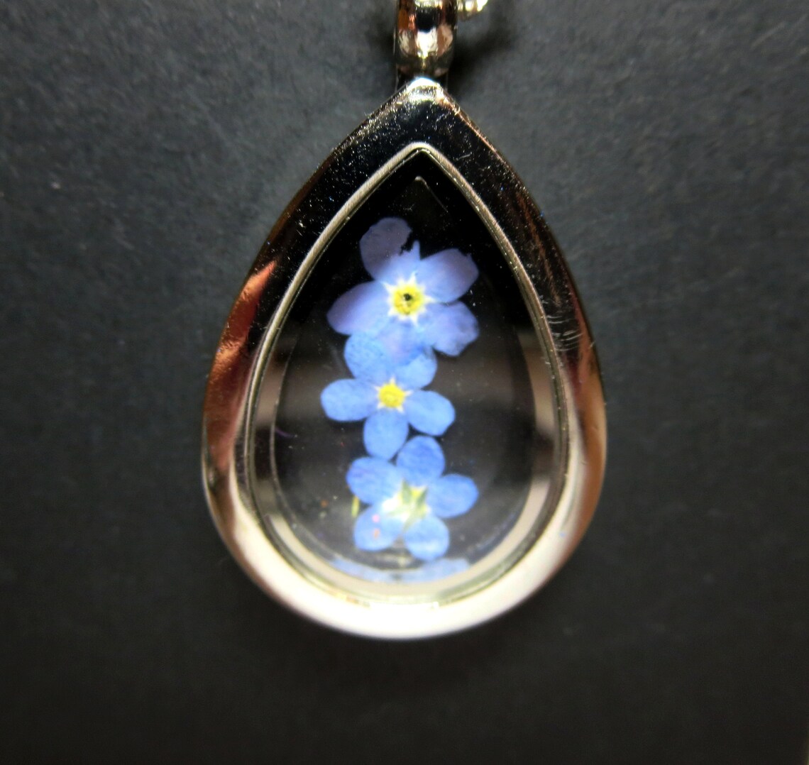 me nots Flower necklace real flower necklace pressed Etsy