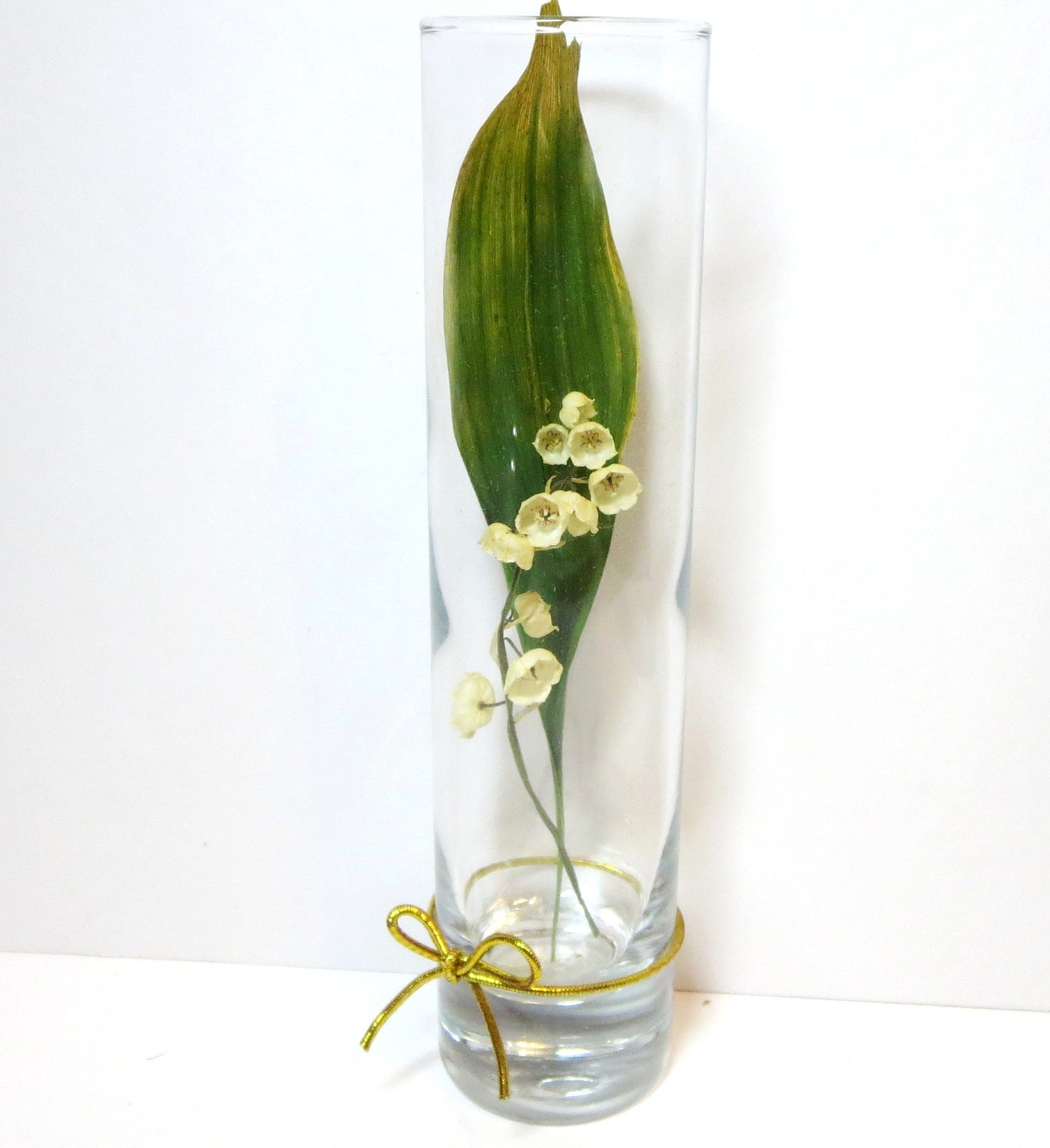 Dried Lily of the Valley Framed Pressed Flowers Double Sided Etsy