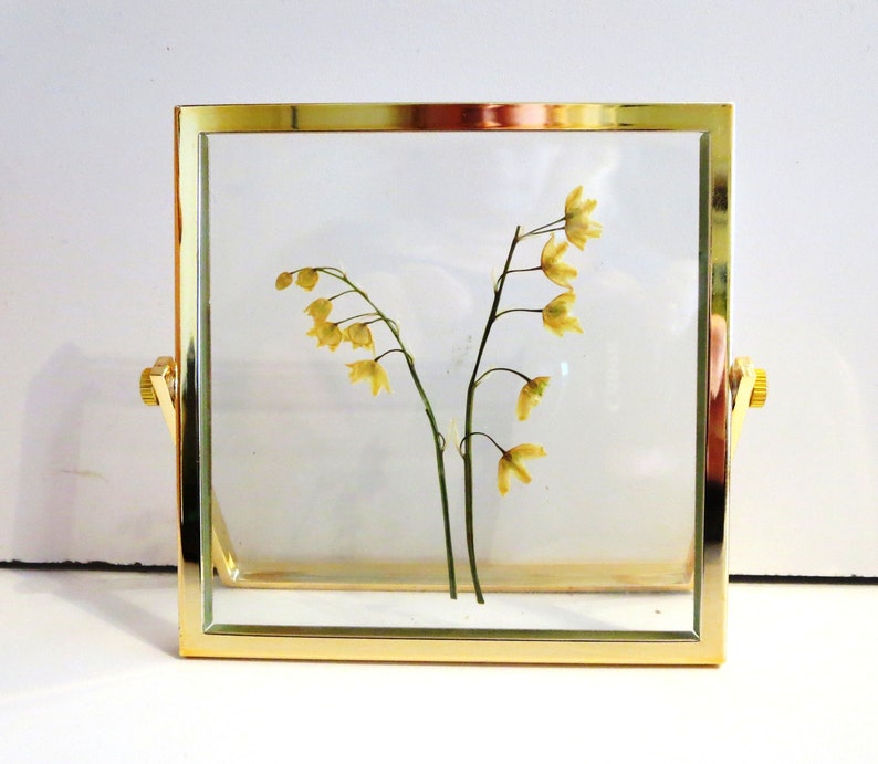 Lily Of The Valley Pressed Flower : Pressed flowers saved from a bride's bouquet. | Lily of ... - In fact, l ove expressed through flowers doesn't have to be romantic.