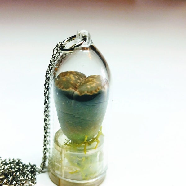 Cactus Stone Necklace main image 1