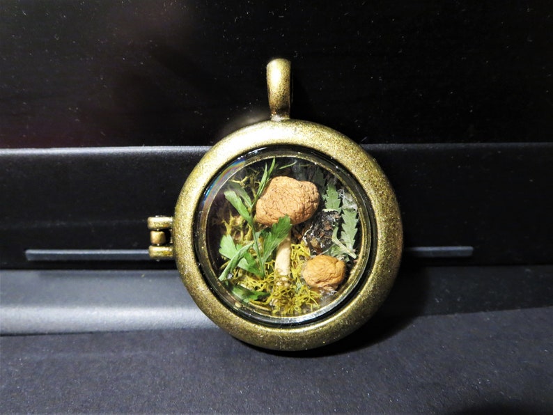 Mushroom Pendant Necklace Real Mushroom Necklace Dried Etsy
