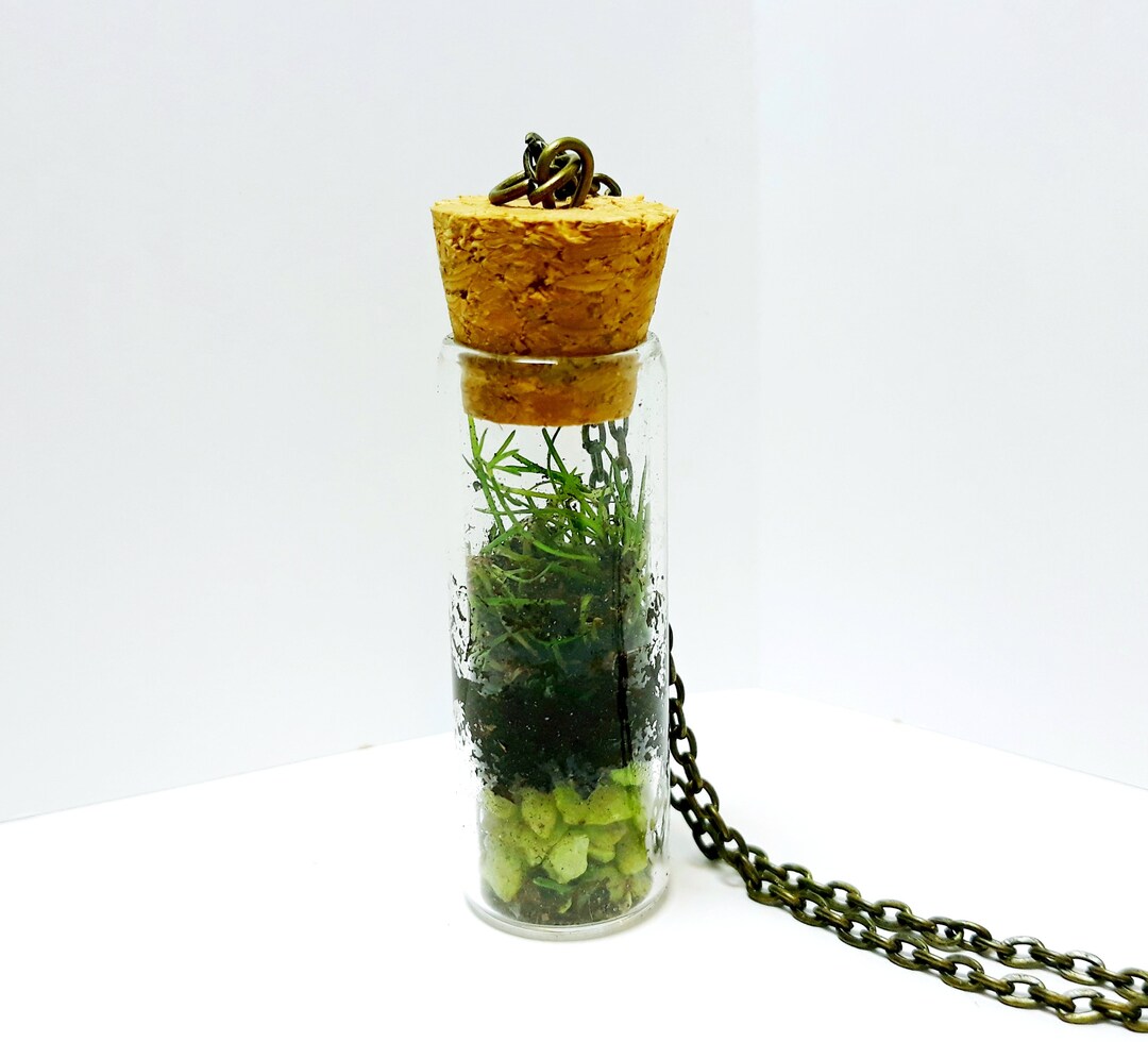Moss Jar Necklace Moss in a Bottle Pendant Moss Tiny Terrarium Etsy