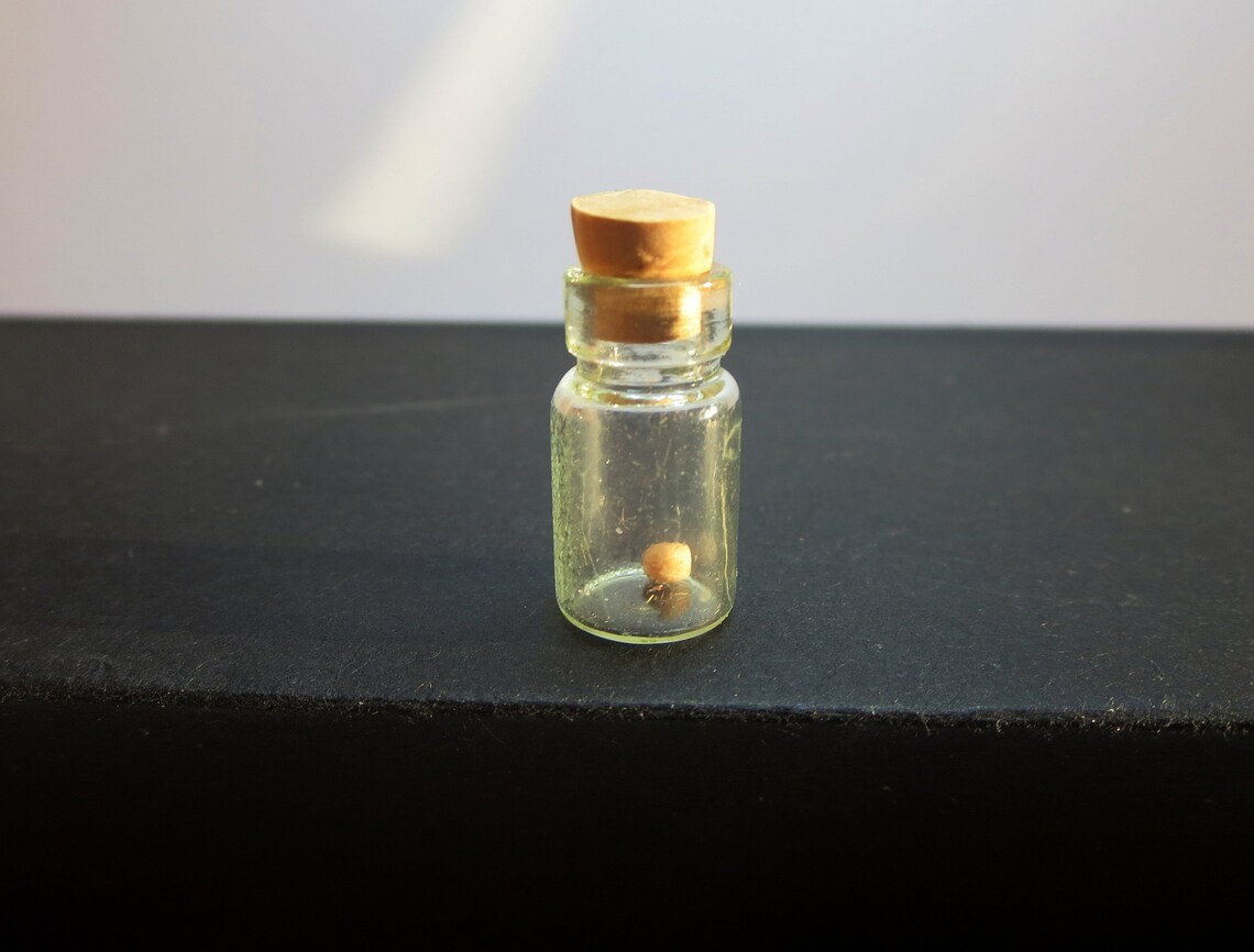 Real mustard seed bottle necklace Faith of a Mustard Seed Etsy
