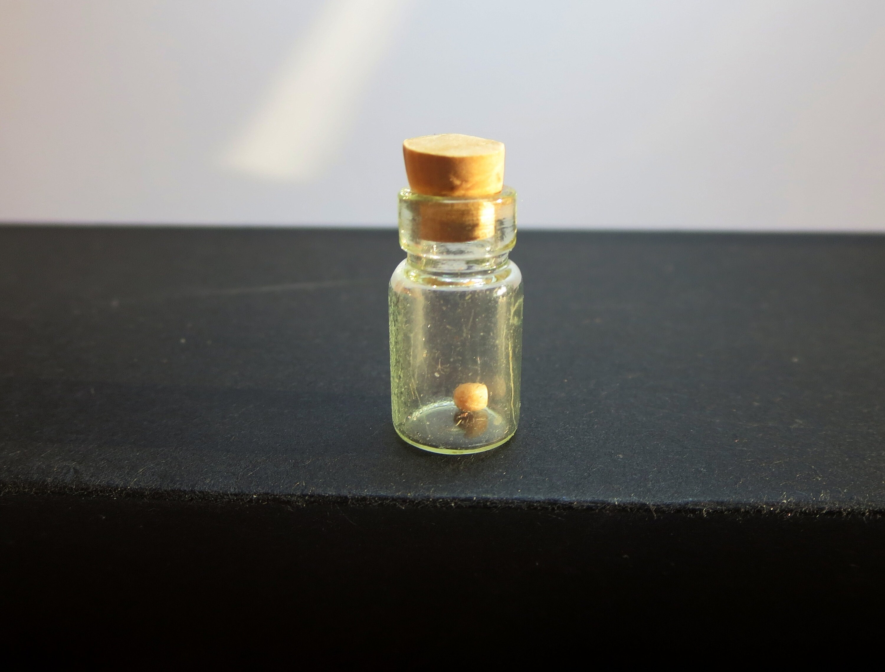Real mustard seed bottle necklace Faith of a Mustard Seed Etsy