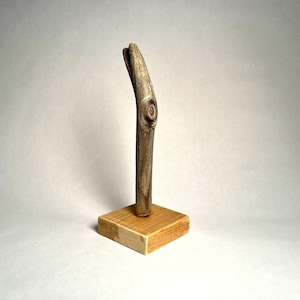 Driftwood Sculpture