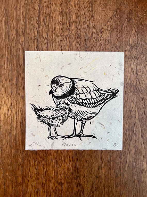 Piping Plover Linocut Print – Midwestern Great Lakes Bird Art, Conservation Gift