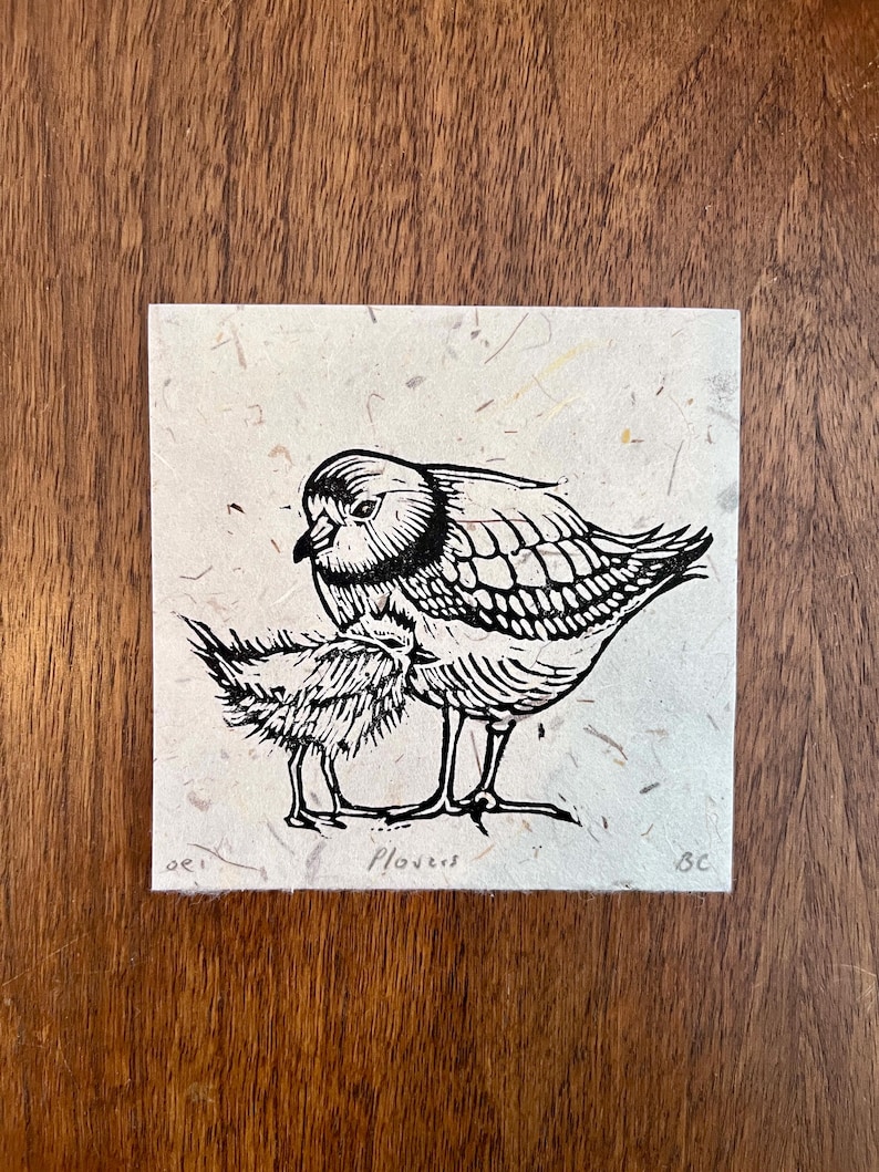 May include: A black and white linocut print of two birds, one larger and one smaller, standing close together. The print is on a square, textured, off-white paper. The word "Plovers" is printed below the birds.