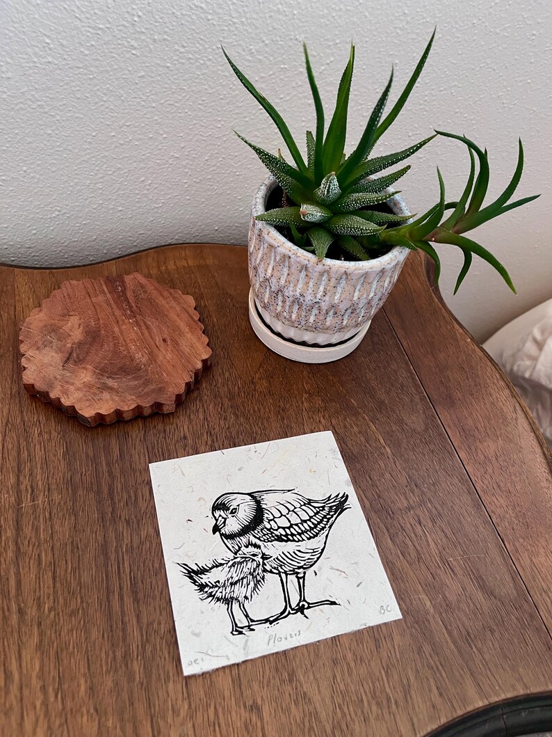 May include: A square white paper print featuring a black ink illustration of an adult plover bird standing over a small chick. The print includes the handwritten text Plover at the bottom and the initials SC in the lower right corner.
