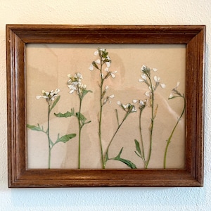 Vintage Frame with Pressed Flowers