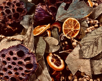 Könnte beinhalten: Nahaufnahme von getrockneten Orangenscheiben, Lotuskapseln und Blättern. Die Orangenscheiben sind getrocknet und haben eine braune Farbe. Die Lotuskapseln sind braun und haben ein Wabenmuster. Die Blätter sind grün und braun und haben eine strukturierte Oberfläche.