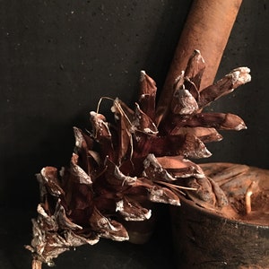 Scented White Tipped Pine Cones
