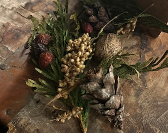 Winter Potpourri Gingerbread
