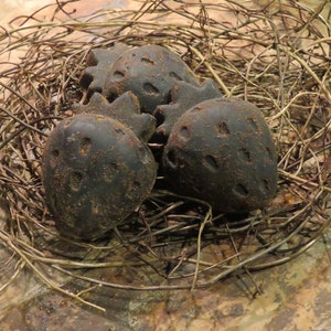 May include: Three dark brown, almost black, ceramic strawberries in a nest of twigs.