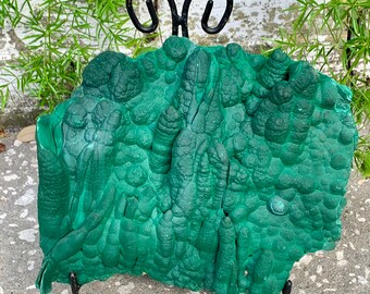 Raw natural malachite stalactite plate from the Congo, 2616g