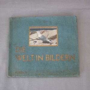 Scrapbook Cigarette Pictures Album 5 “Il mondo in immagini” Uccelli tedeschi della Germania Mondo degli uccelli Yenidze Dresden Immagini vintage da collezione