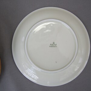 Eschenbach assiette de petit-déjeuner assiette à gâteau en porcelaine blanche avec bord doré Mid Century vintage image 5