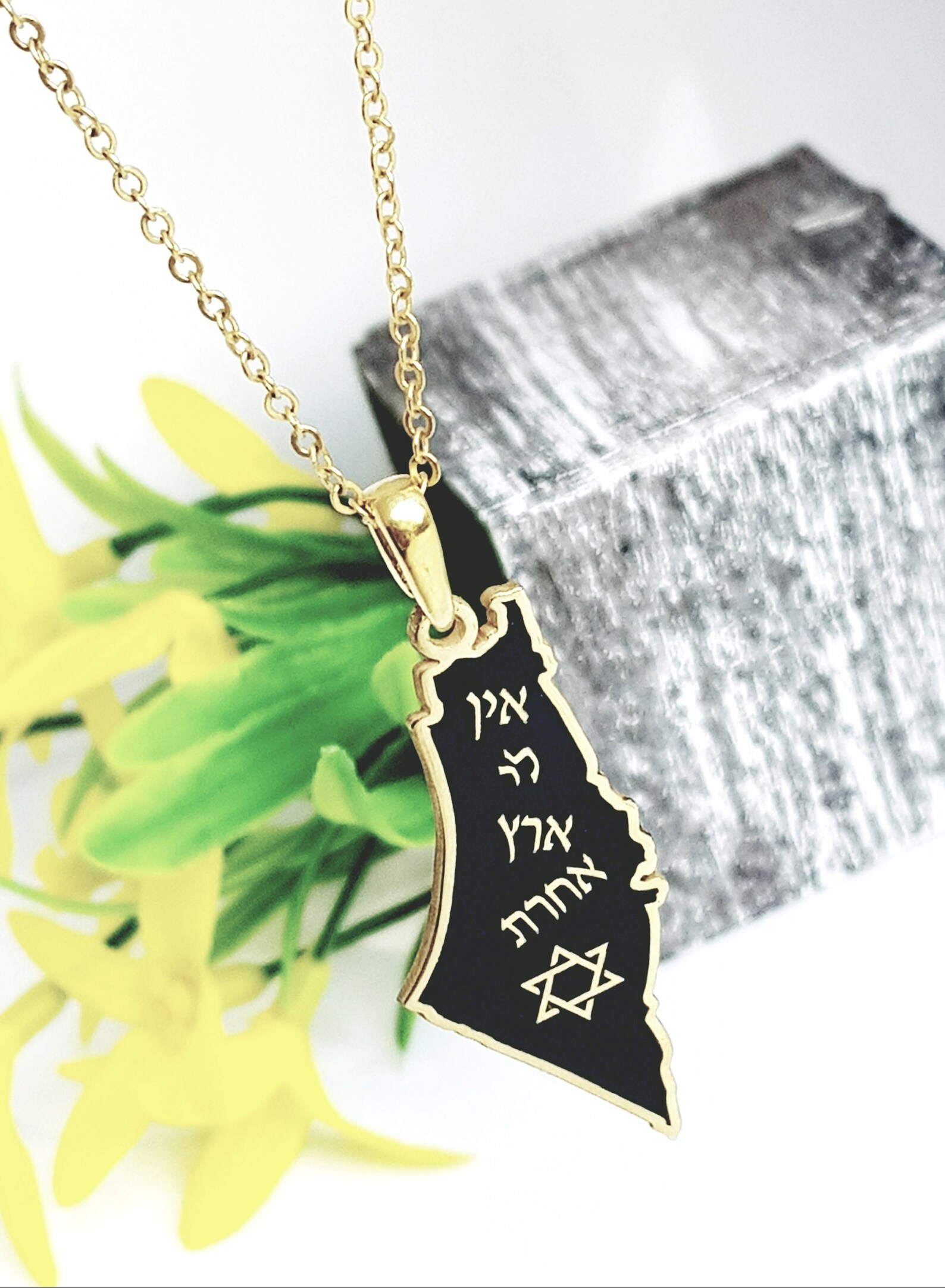 Silver Israel Map Necklace Israel - Il 5ew1 