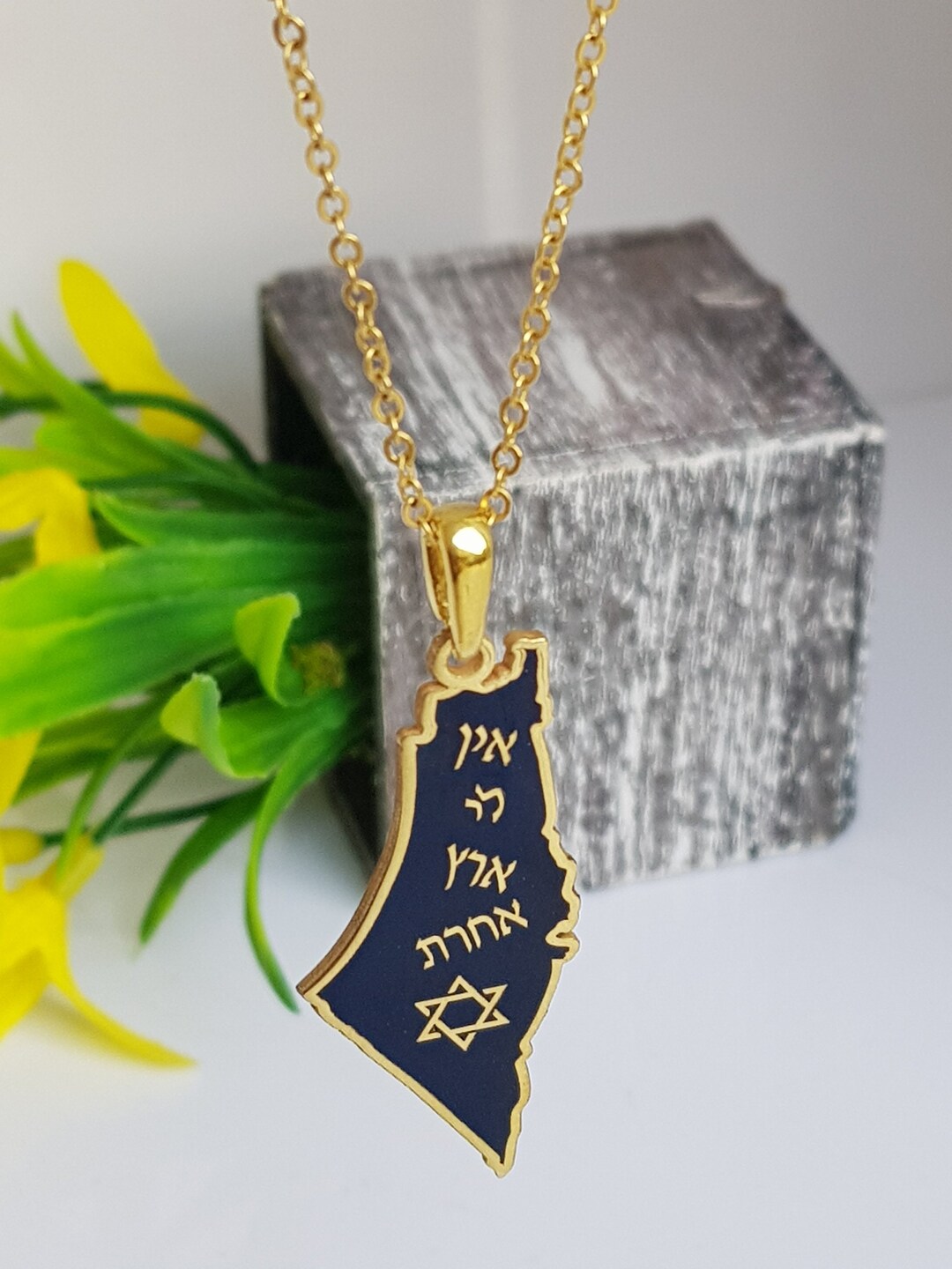18K Gold Plated Israel Map Necklace - Il 5o8x 