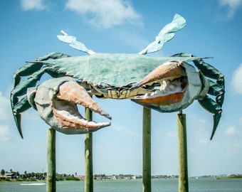 Big Blue Crab from Rock Port, TX