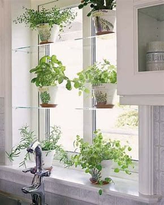 Acrylic Window Shelves Etsy