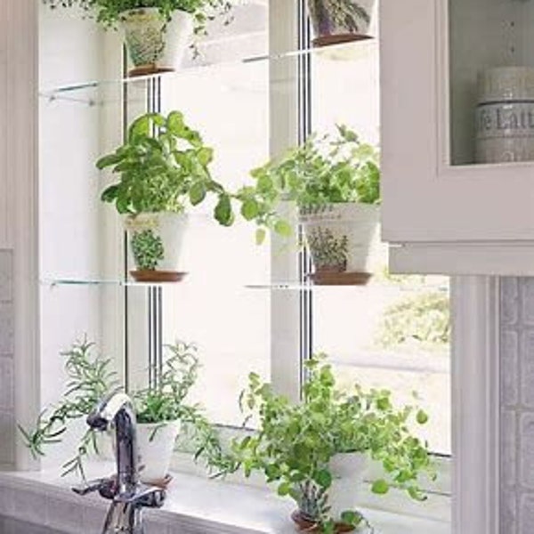 Acrylic Window Shelves