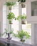 Acrylic Window Shelves 