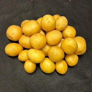 May include: A pile of small, yellow-skinned potatoes. The potatoes are oval-shaped and have a slightly rough texture. They are arranged in a loose heap against a dark background.