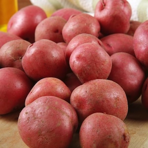 May include: A close-up of a pile of red potatoes. The potatoes are smooth and have a slightly rough texture. They are all different sizes and shapes.