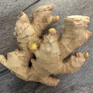 2 Ginger Roots. Easy to Grow. Or use now. Loves Sun.