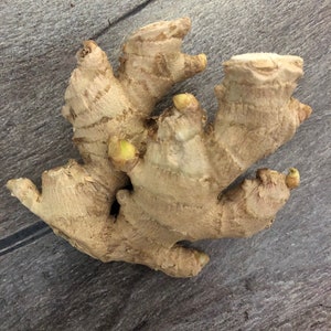 Huge Ginger Bulb As Shown. Ready to Plant or Use. Loves Sun. Easy to Grow. Ships Today.