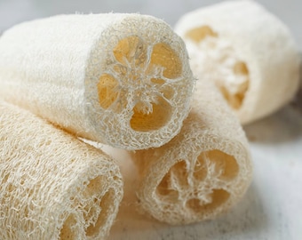 8 LUFFA Sponge Seeds. Grow your own sponge. Ships Today
