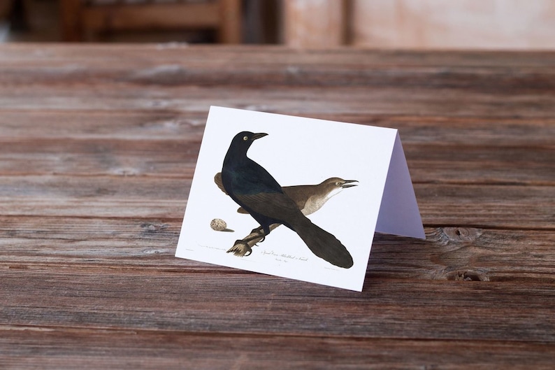 Bird Note Card-Number 17