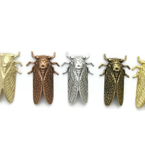Brass Cicada Stamping , Made in the USA