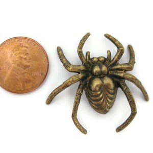 May include: A gold-toned metal spider brooch with detailed legs and a textured body. The brooch is about the size of a US penny.
