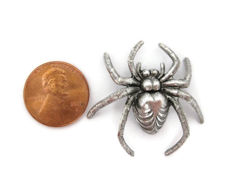 May include: A silver-toned spider brooch, approximately the size of a US penny.
