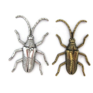 May include: Two metal beetle brooches, one silver and one gold.