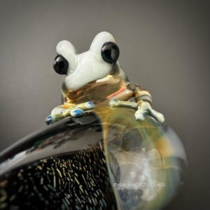 Puede incluir: Figura de rana de cristal hecha a mano con cabeza blanca, ojos negros y cuerpo dorado y marrón. La rana está posada sobre una superficie de cristal transparente con detalles en negro y amarillo. La figura tiene detalles azules en las patas.