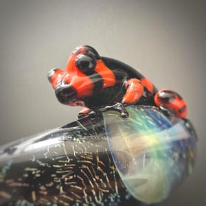 Colgante de rana dardo venenosa sobre hongo "AKUMA", rana de rayas rojas y negras, joyería de vidrio de borosilicato, collar único hecho a mano.