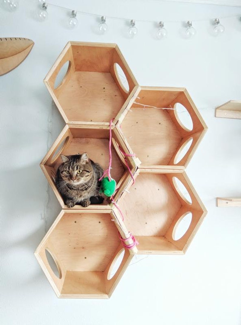 Wooden Cat Furniture/ Wood Cat Bed/ Wooden Cat House/ Cat Box/ Etsy