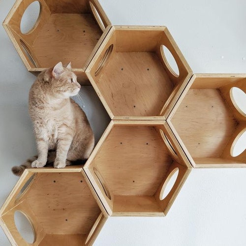 Wooden Cat Furniture/ Wood Cat Bed/ Wooden Cat House/ Cat Box/ Etsy