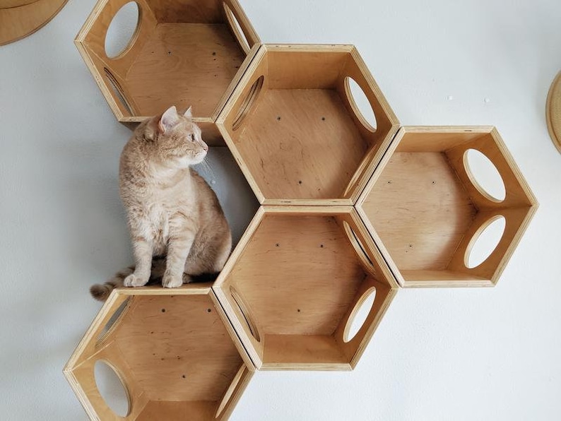 Wooden Cat Furniture/ Wood Cat Bed/ Wooden Cat House/ Cat Box/ Etsy