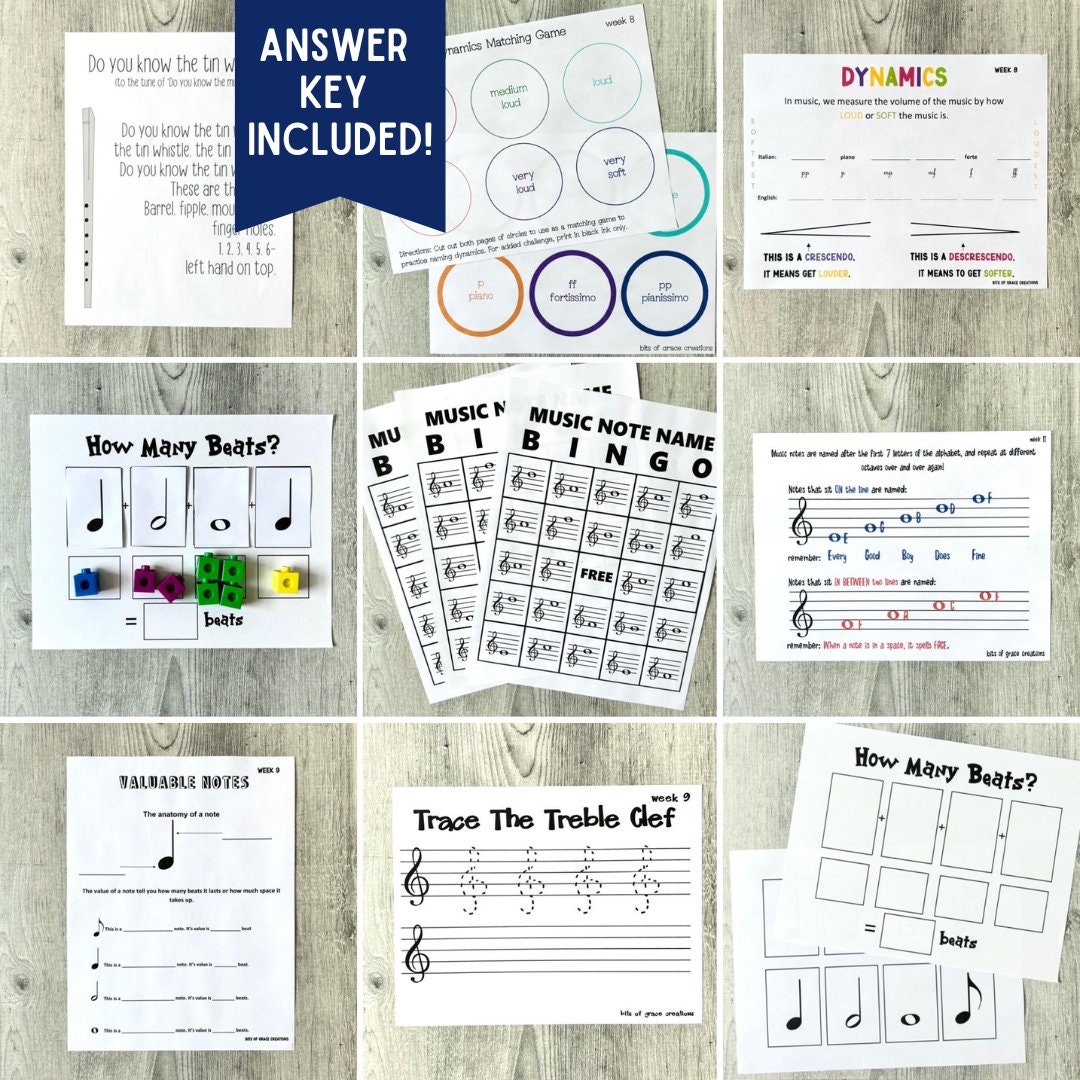 Tin Whistle Information Display Poster (teacher made), tin whistle