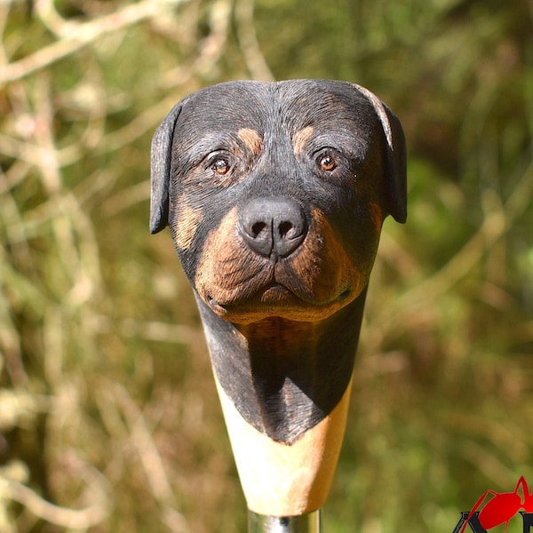 custom wood walking stick,realistic rottweiler dog head wood ,hand carved stick for dog lovers,wooden hiking stick