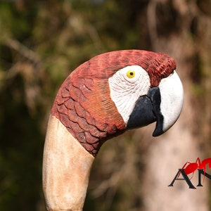 custom wood walking stick,realistic scarlet parrot wood bird,hand carved stick for bird lovers,wooden hiking stick