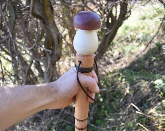 Big pore hiking sticks for salt mushroom carving, functional art Hiking Stick by AntSarT